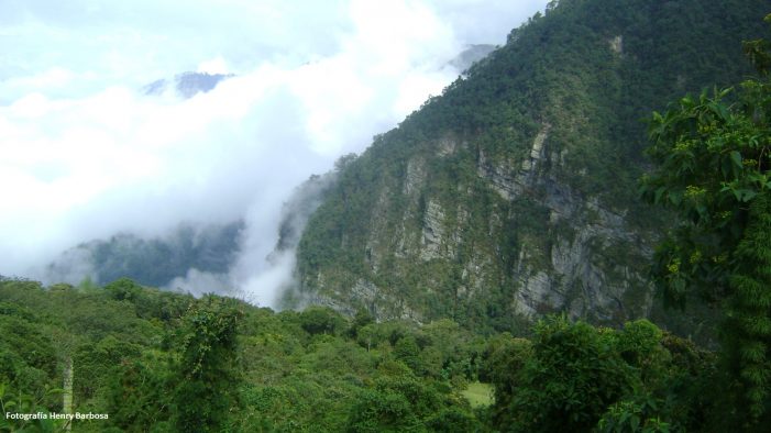 Parque Natural Chicaque, una obra maestra de la naturaleza
