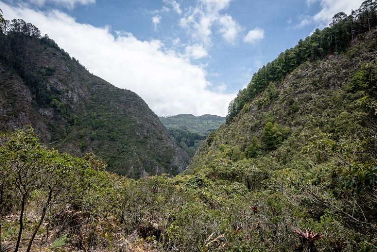 cerros orientales 3