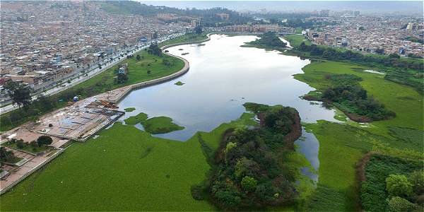 Humedal Juan Amarillo: Ejemplo ecológico en Bogotá