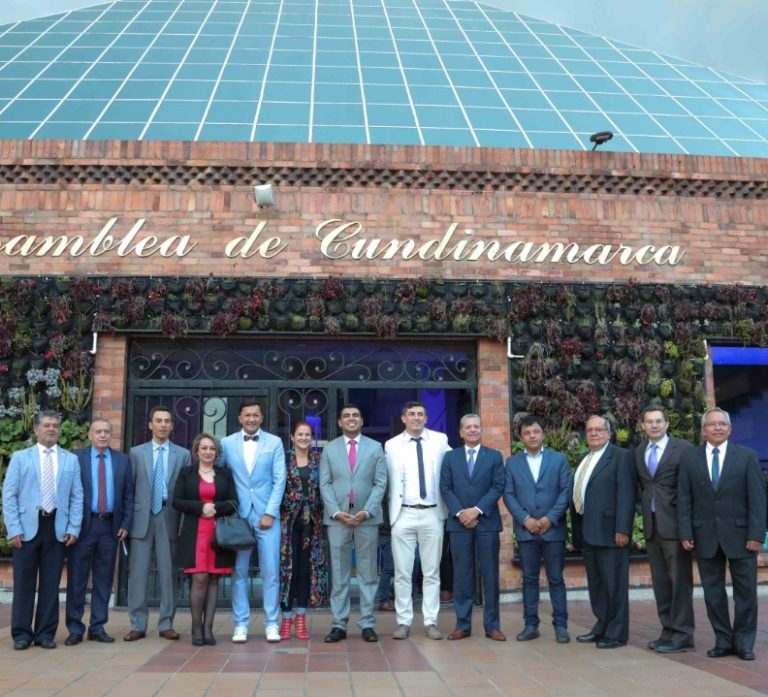 asamblea de cundinamarca 13