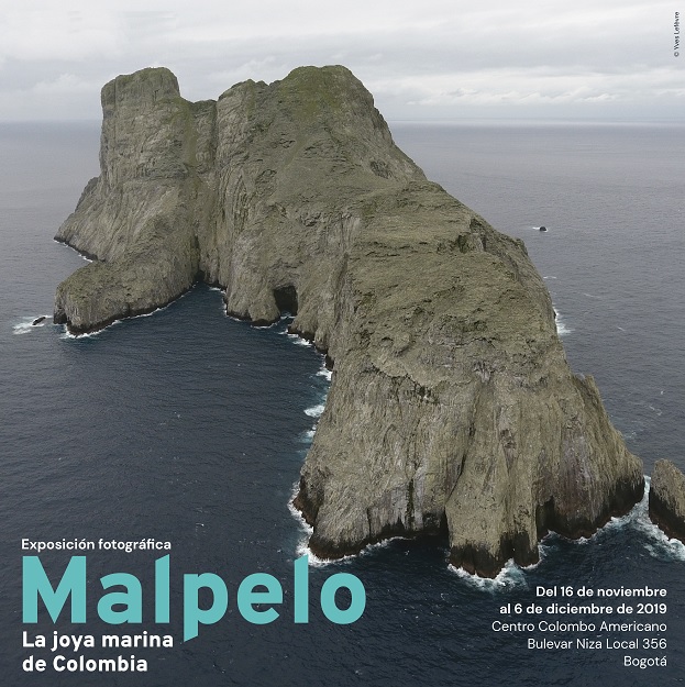 Isla Malpelo: La conservación de ecosistemas como una prioridad mundial