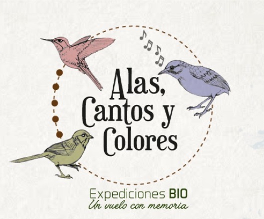 «Expediciones BIO: Alas, Cantos y Colores», la historia de la avifauna se renueva un siglo después