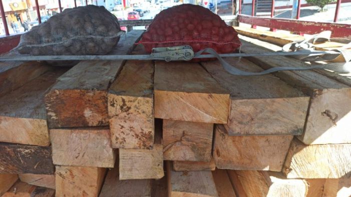 La CAR y la Policía detuvieron camión con madera ilegal en la vía Bogotá – La Calera