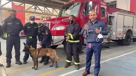 Apareció «Gasper», el perro bombero experto en búsqueda que se había perdido en Bogotá