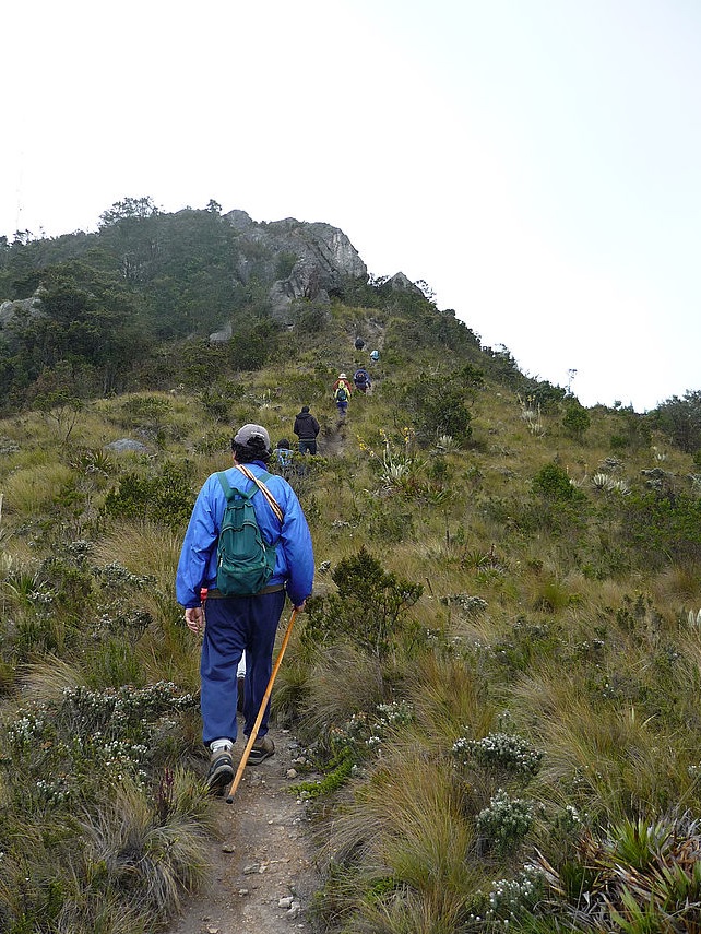 La CAR hace un llamado a cuidar los senderos habilitados para caminatas en cerros de Bogotá