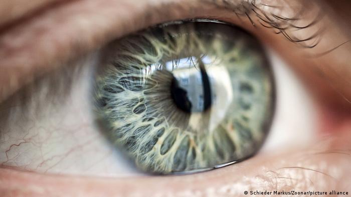 Científicos reviven células oculares humanas de donantes de órganos