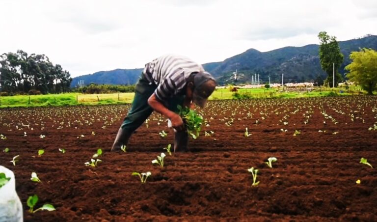 CAMPESINOS DE LA SABANA DE BOGOTA 2