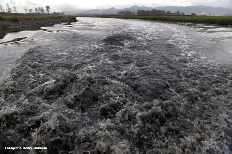 RIO BOGOTA - contaminación