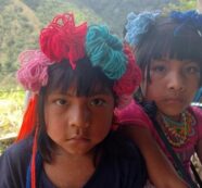 Saberes milenarios en la educación indígena de Colombia
