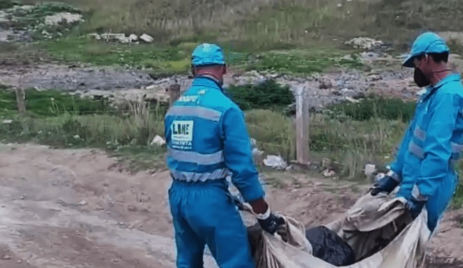 Repudio por muerte por envenenamiento de 15 perros en la localidad de Ciudad Bolívar