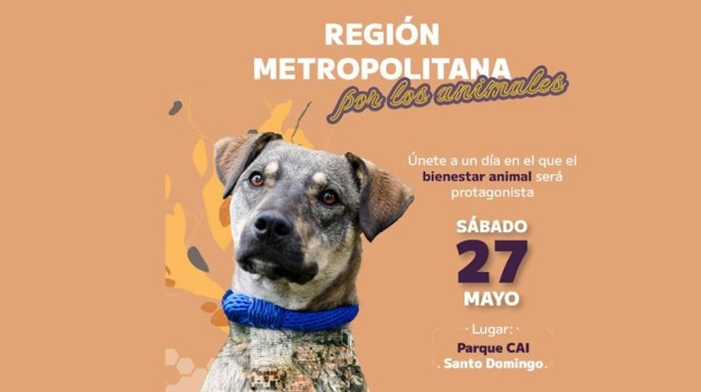 Brigada de salud gratuita para mascotas en la localidad de Ciudad Bolívar este 27 de mayo