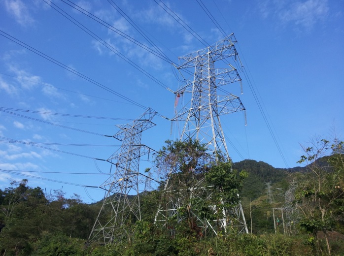Enel Colombia avanza en la ejecución de podas y talas para asegurar la calidad del servicio de energía en Bogotá y Cundinamarca