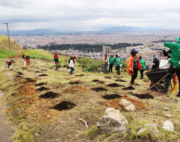 Secretaría de Ambiente de Bogotá realiza jornada de reforestación en la localidad de Ciudad Bolívar
