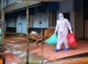 India hace esfuerzo para evitar la propagación del mortal virus Nipah