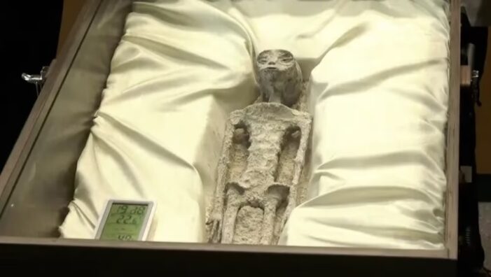 Periodista mexicano muestra “seres no humanos” de “1.000 años de antigüedad” en el Congreso mexicano