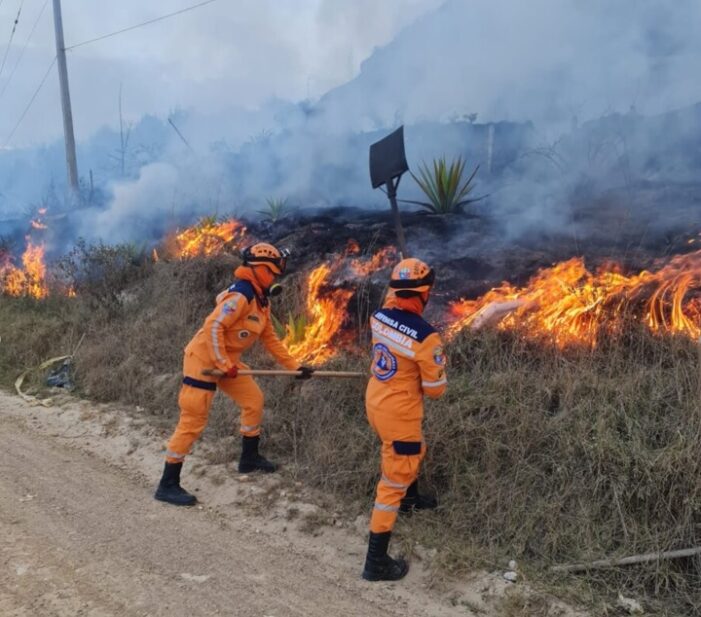 En lo que va del año se han reportado más de 2.300 incendios forestales en Colombia