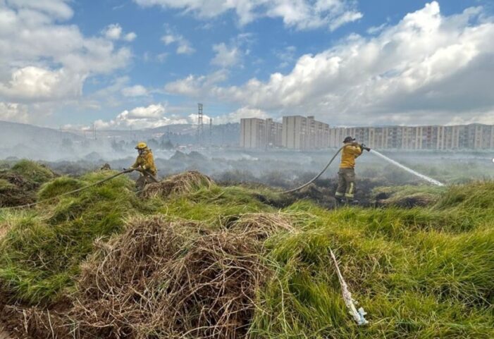 Ministerio de Ambiente alerta riesgo de incendios forestales en el país