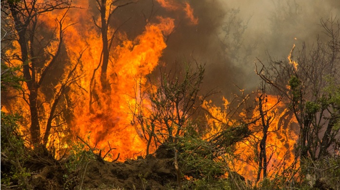 Recomendaciones de la Cruz Roja ante el peligro de los incendios forestales