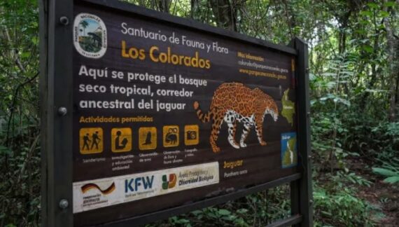 Parques Nacionales cerró al público 9 áreas protegidas ante el fenómeno de El Niño