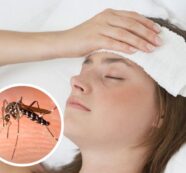 Ante la propagación del Dengue conozca los síntomas y tratamiento