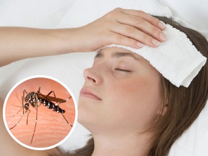 Ante la propagación del Dengue conozca los síntomas y tratamiento