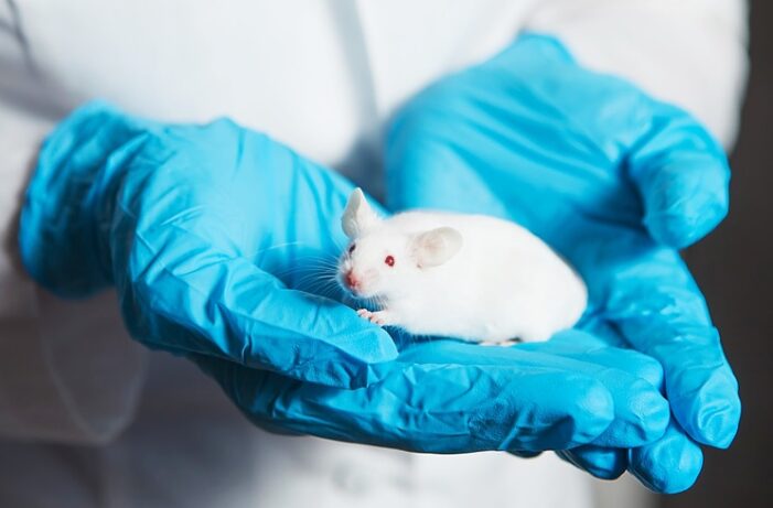 Prueban con éxito en ratones vacuna rusa contra el cáncer