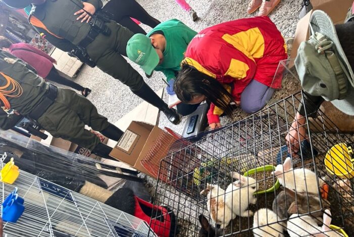 Decomisados 78 animales vivos que eran comercializados en la Plaza de mercado del barrio Restrepo