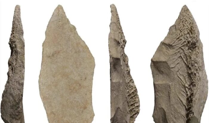 Descubren una punta de lanza hecha de hueso de caballo por neandertales