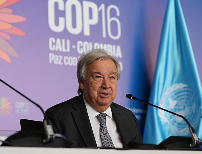 Declaración de la ONU en la COP16: “La naturaleza no es un recurso infinito”