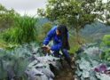 Minagricultura abre nuevas convocatorias para mujeres rurales