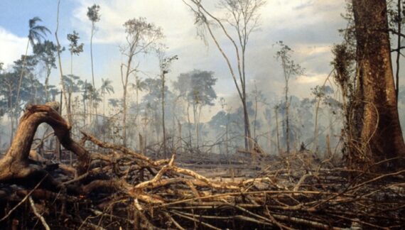 El Consejo de investigación más importante del mundo evalúa soluciones a la crisis medioambiental global