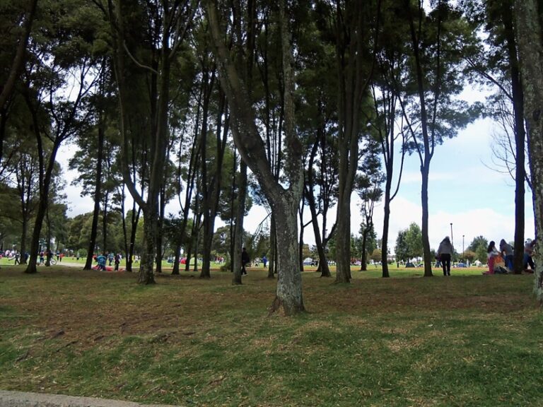 Parque Simón Bolívar de Bogotá