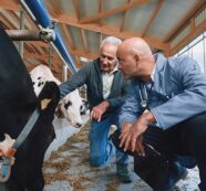 En el “Día Mundial del Veterinario” encuesta muestra que más del 90% de los dueños de animales confían y aprecian a sus veterinarios