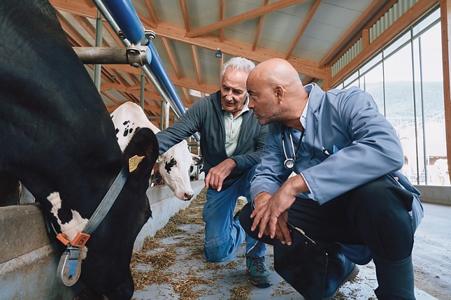 En el “Día Mundial del Veterinario” encuesta muestra que más del 90% de los dueños de animales confían y aprecian a sus veterinarios