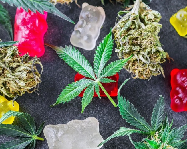 Consumo de marihuana en cualquier forma está directamente relacionado con un riesgo en la salud cardiovascular