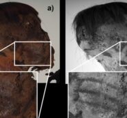 Hallazgo revela tatuajes inéditos en momia andina de 800 años