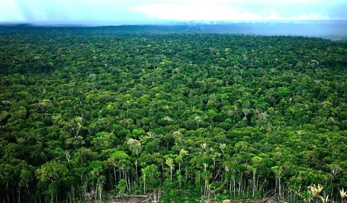 Colombia, epicentro mundial de la lucha contra la desertificación y la sequía: 30 % del suelo ya está degradado