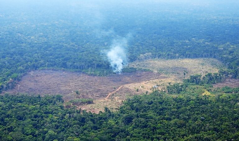 deforestacion en el Amazonas colombiano 1