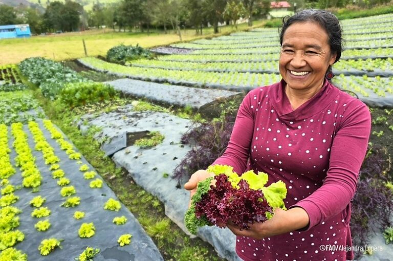 Región Bogotá-Cundinamarca ¿ómo sus compras influyen en el precio de los alimentos 1