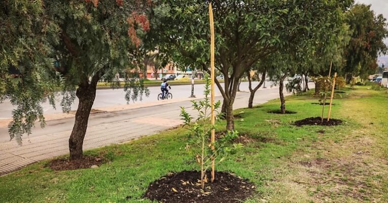 ZUMA Bosa - intervención clave para mejorar el aire en el suroccidente de Bogotá